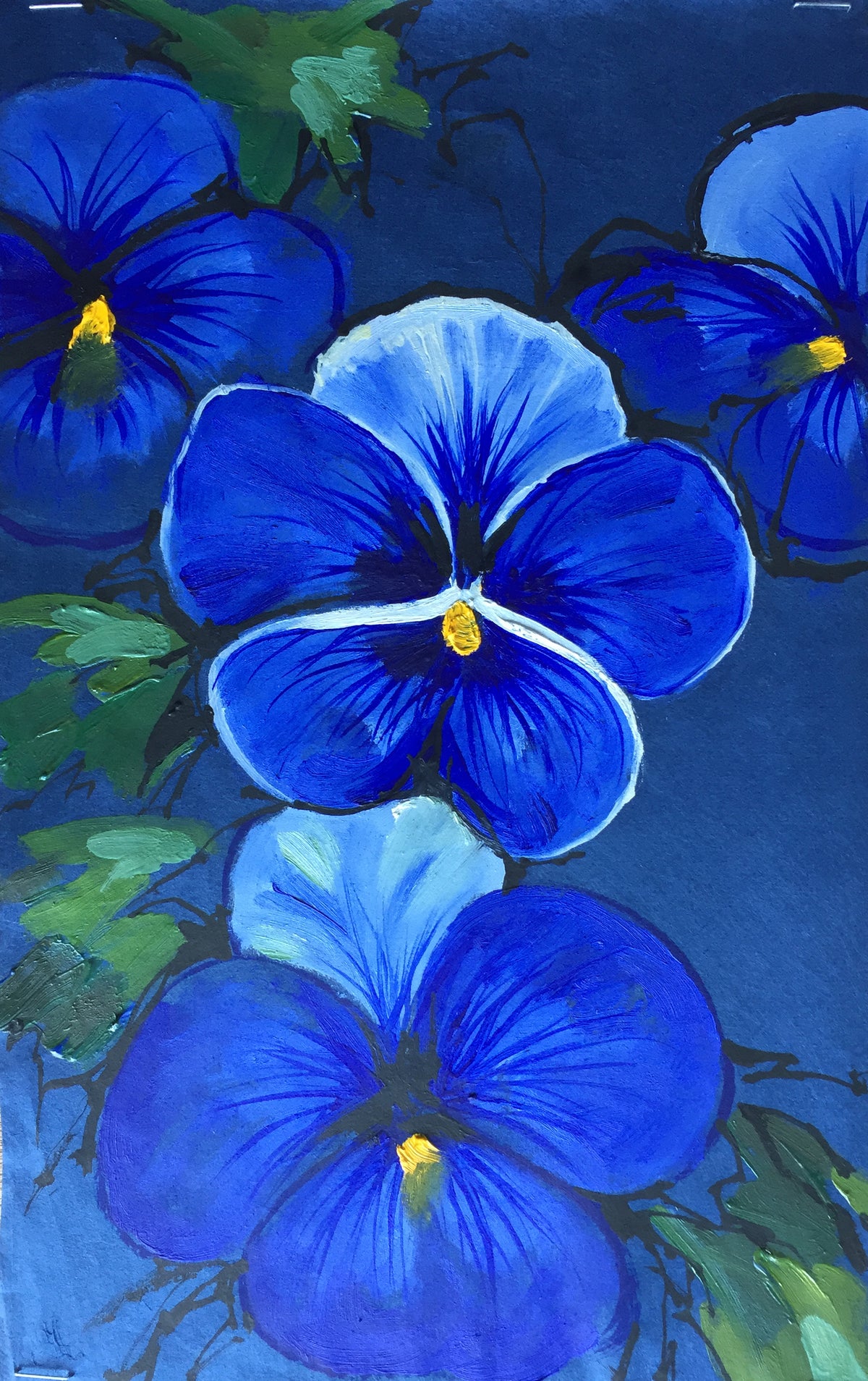 05 flora Midnight 20230905