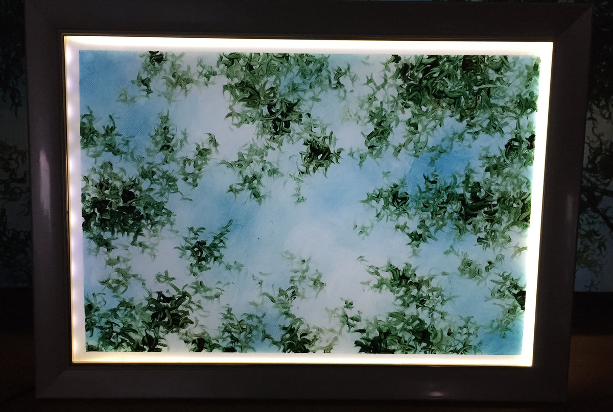 10 Sunshade acrylic LED 20230920