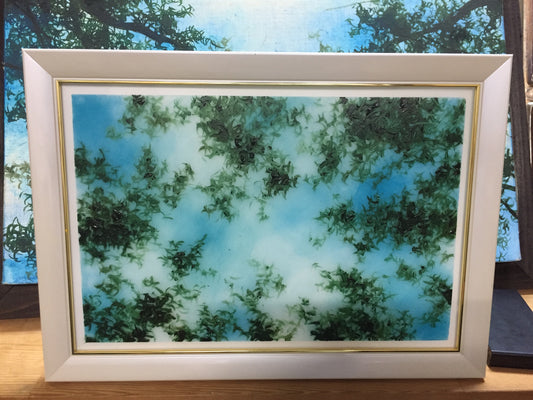10 Sunshade acrylic LED 20230920