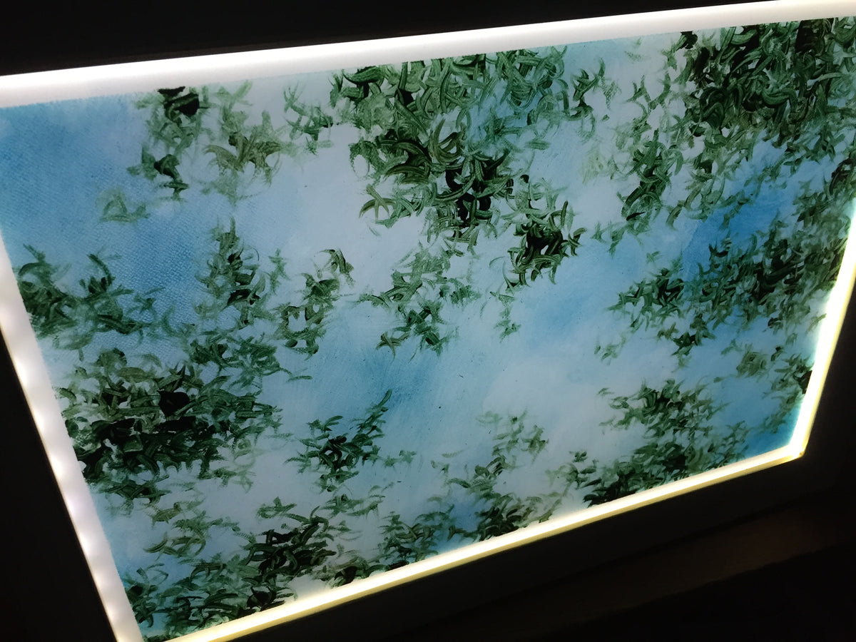 10 Sunshade acrylic LED 20230920