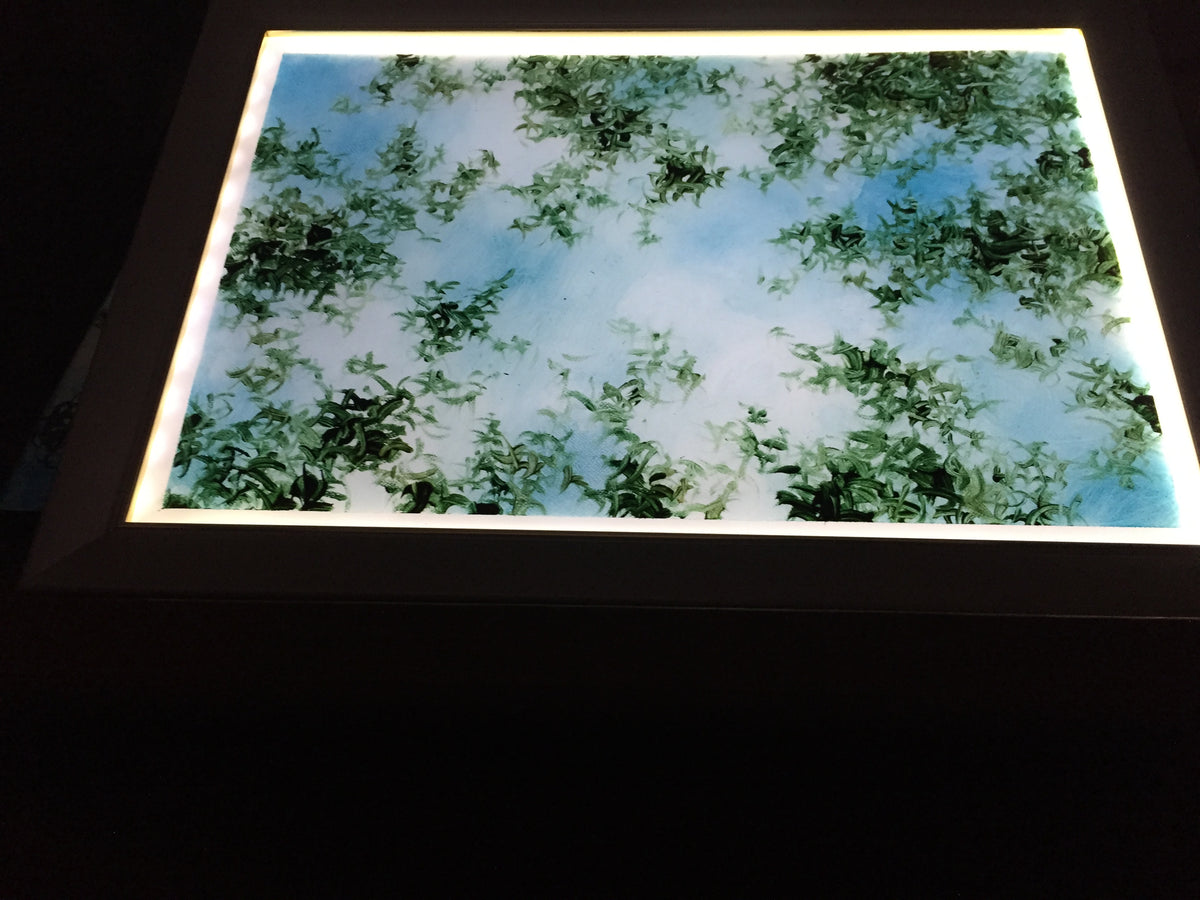 10 Sunshade acrylic LED 20230920