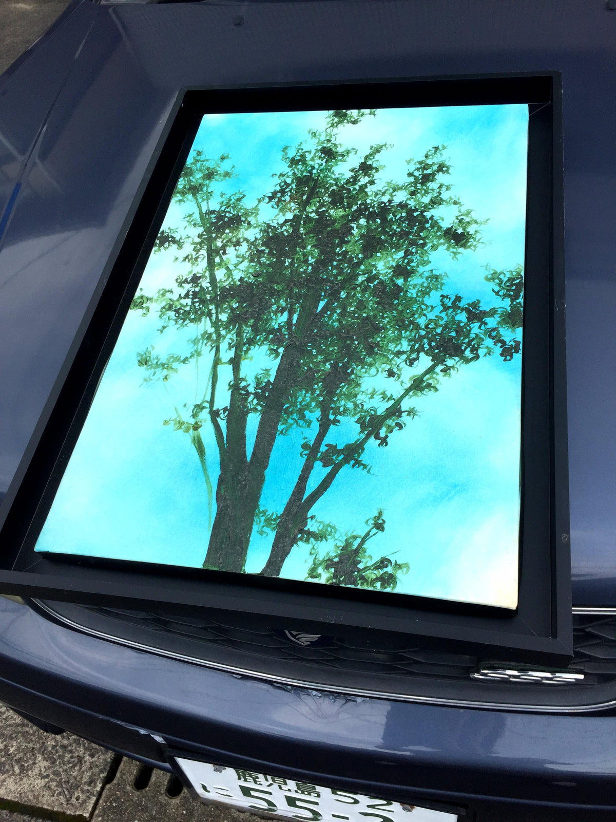05 Sunshade 2023-04