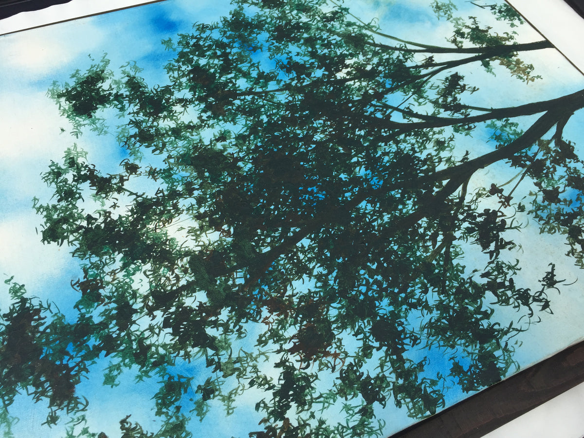 05 Sunshade 20230819