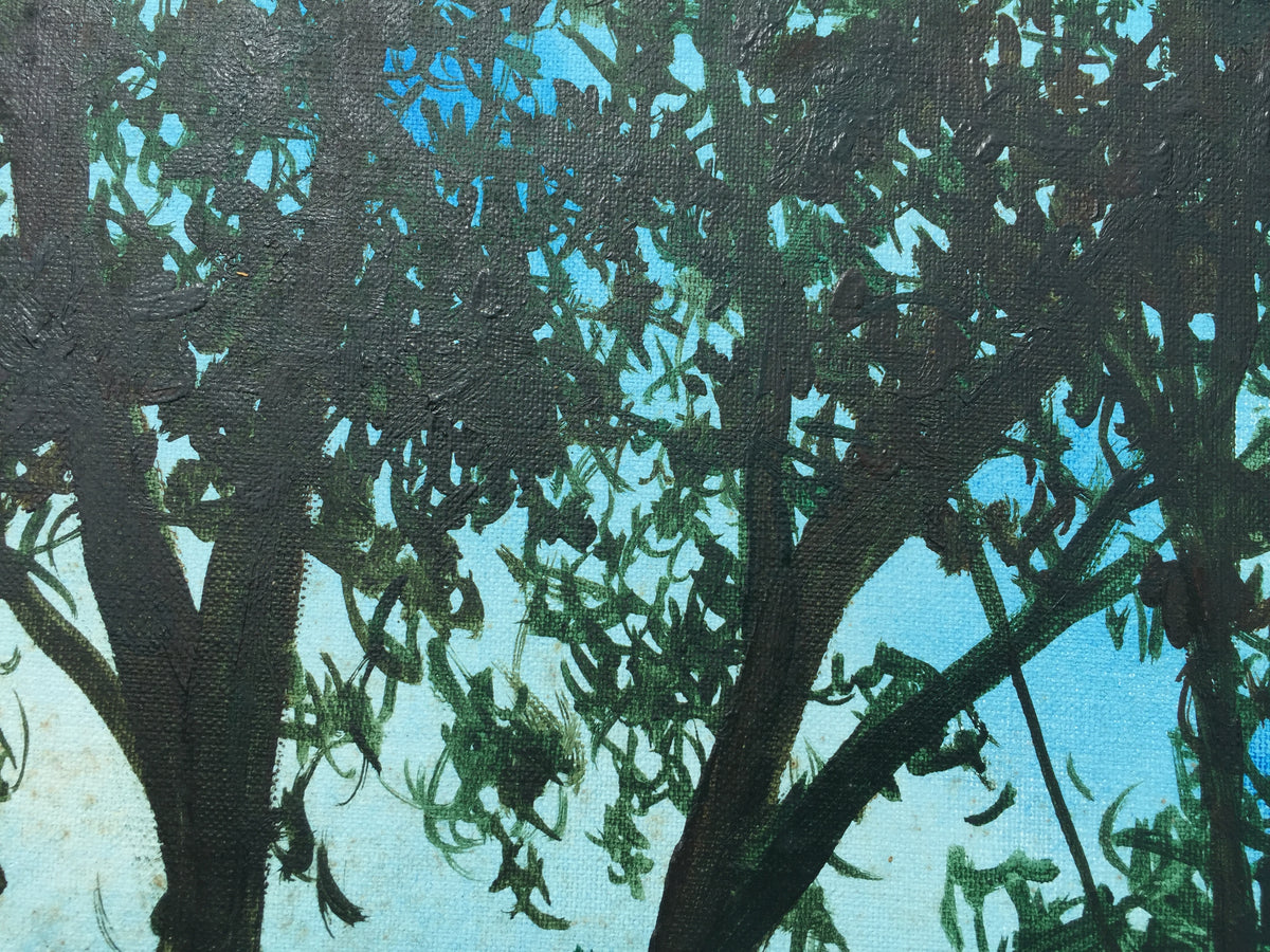 05 Sunshade 20230819
