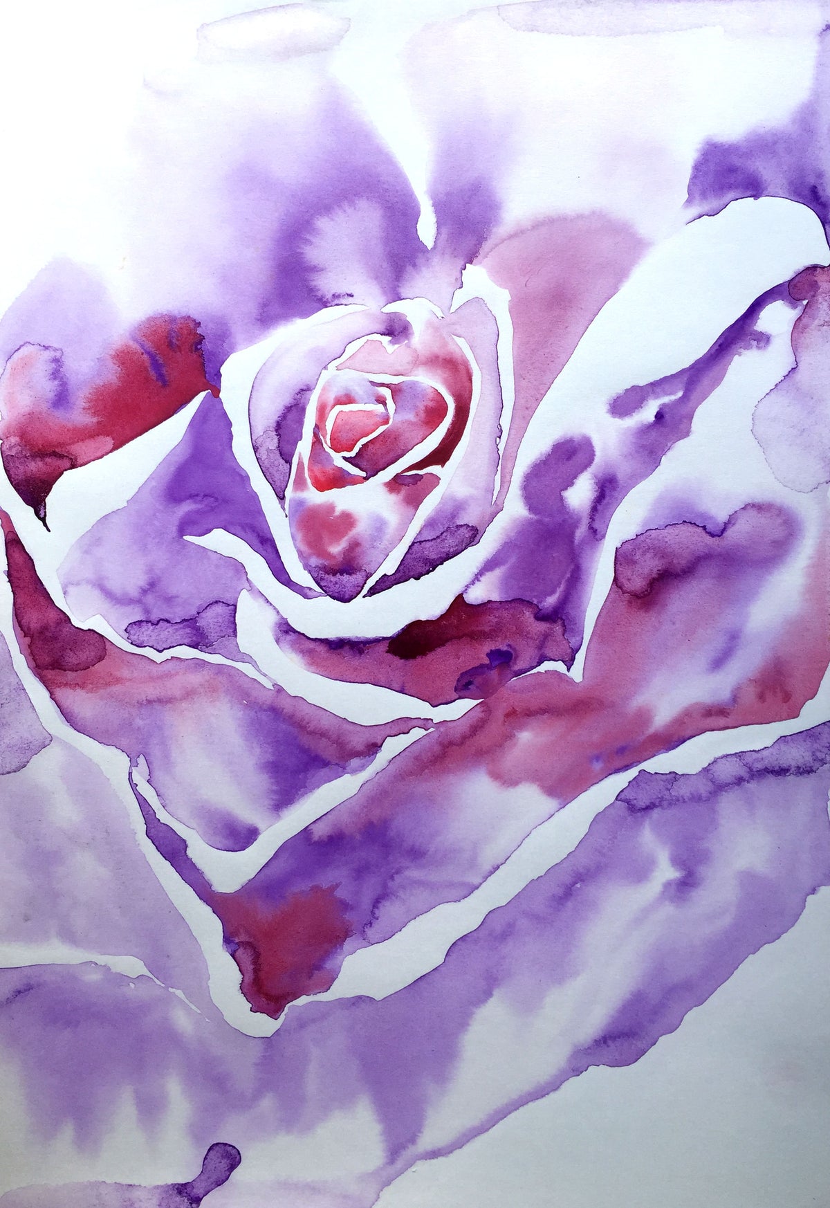 06 Flora 20230822